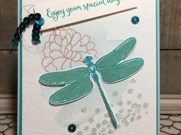 Dragonfly Dreams