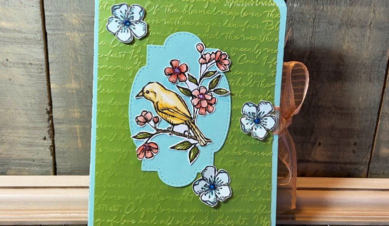 Bird Ballad Book of Notecards